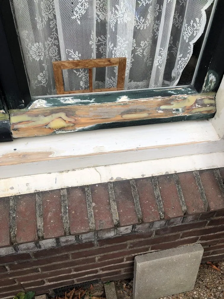 RC Dry Flex 4 en Cool